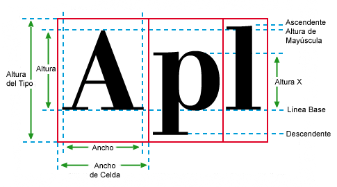 Tipos y sus medidas