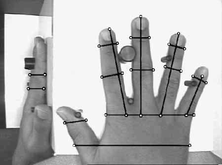 Parámetros medidos sobre una mano