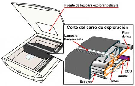 Diagrama de un escáner